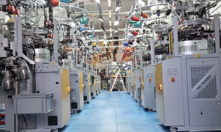 Fabricante licra santoni deals